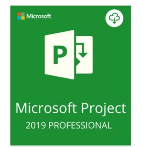 Microsoft Project 2019 Professional 5 User